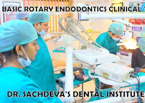 dental endodontic india basic